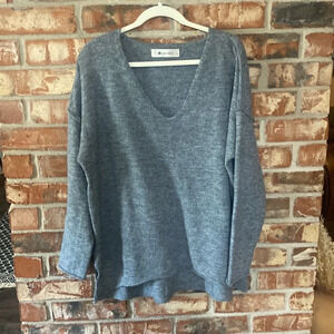 The Impeccable Pig Gray V-Neck Sweater